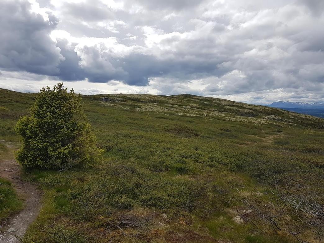 Bed and Breakfast Hos Blafjelldal, Bagn I Valdres Exterior foto