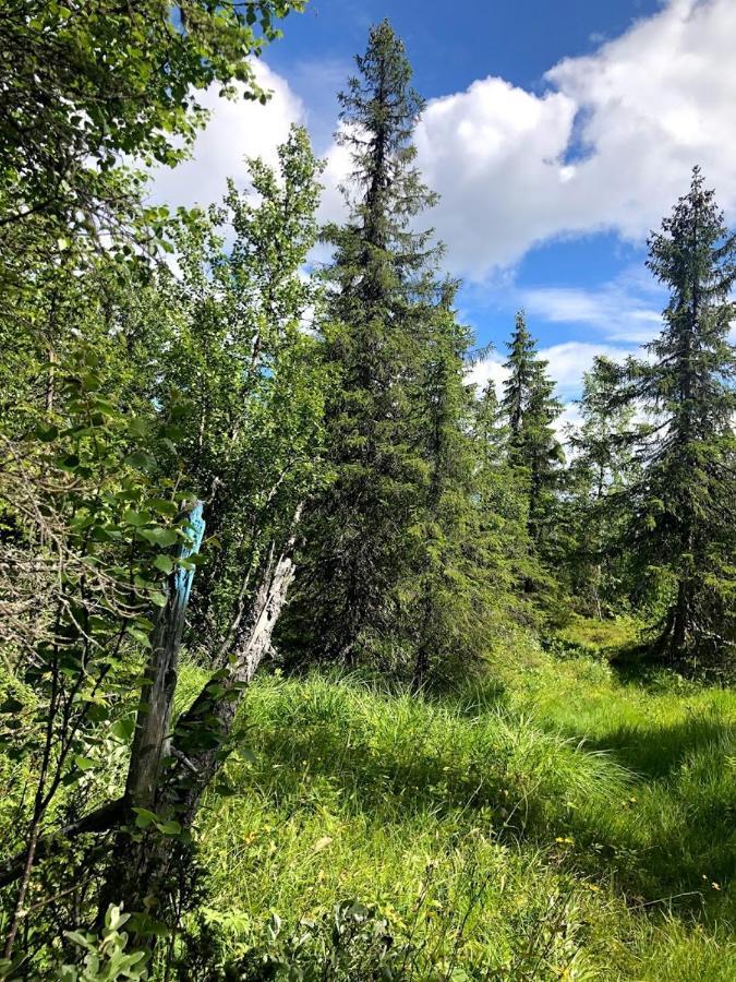 Bed and Breakfast Hos Blafjelldal, Bagn I Valdres Exterior foto